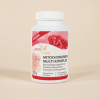 Mitochondrien Multi Komplex